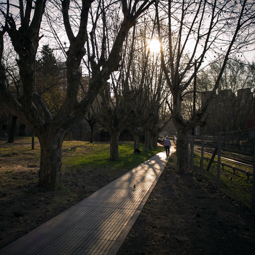 Episodio #20: Coghlan